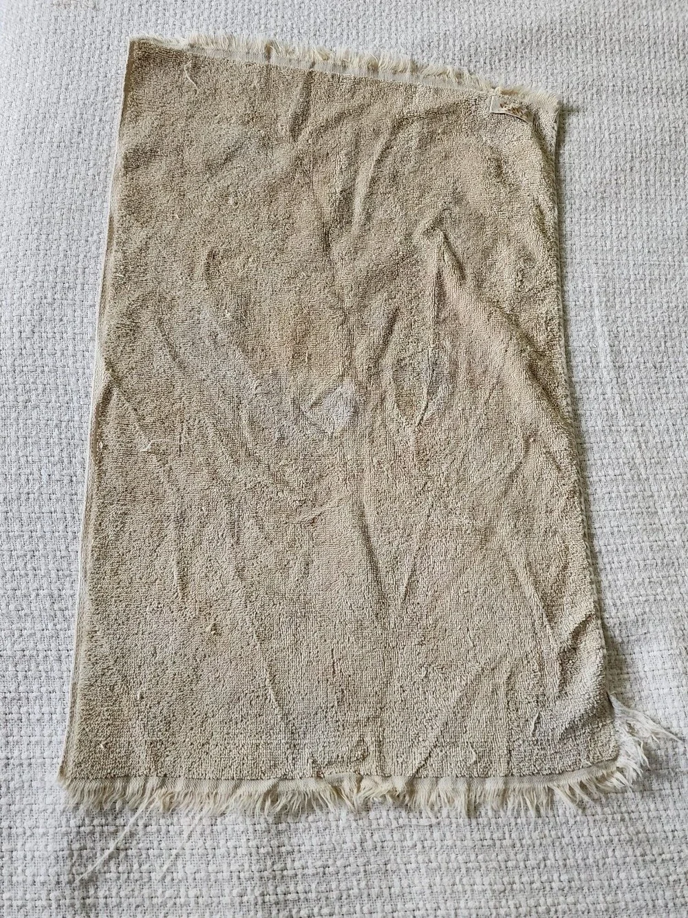 Vintage Cannon Mushrooms Hand Towel